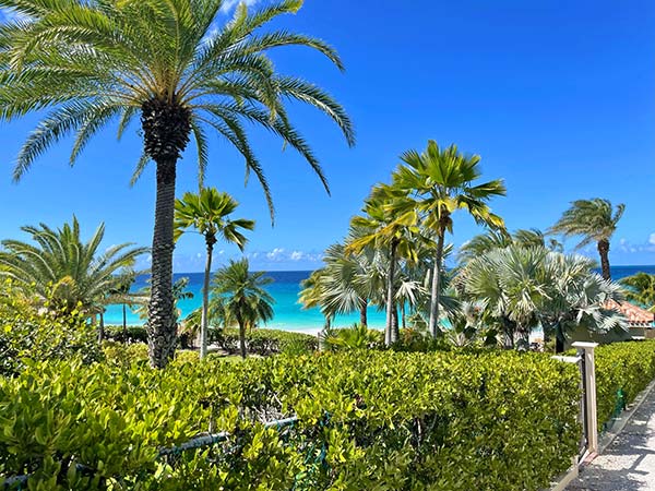 pathway view to coral beach bar