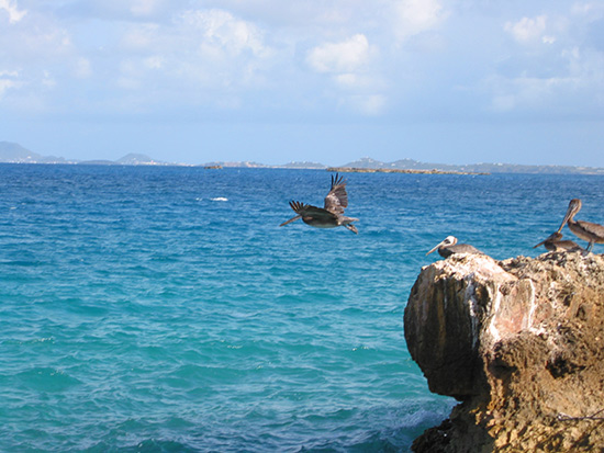 anguilla beaches