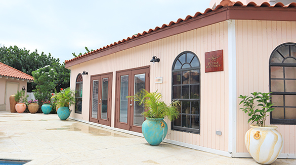 petals boutique anguilla