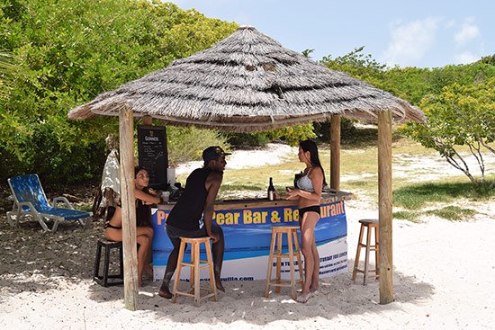 the tiki hut bar