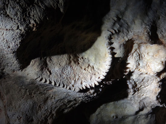 formations that look like jaws inside katouche cave