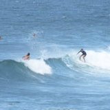 surfing Barbados