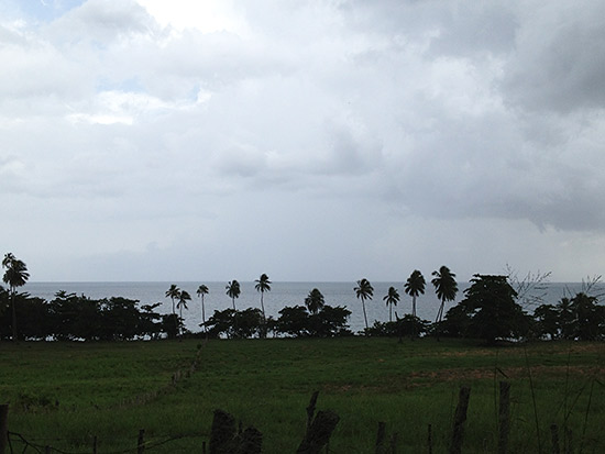 jobos beach puerto rico