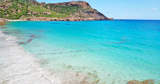 saline st barths