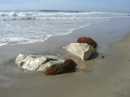 California Beaches