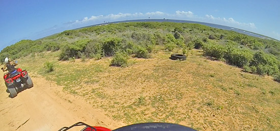 overlooking savannah bay and junk's hole