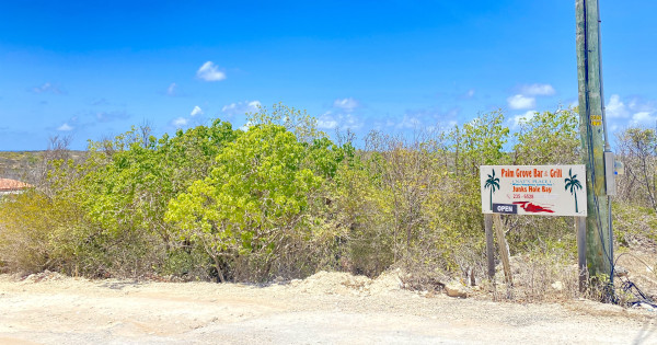 Nats at Junkshole road sign  