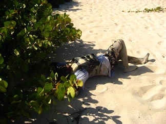 Anguilla sailing