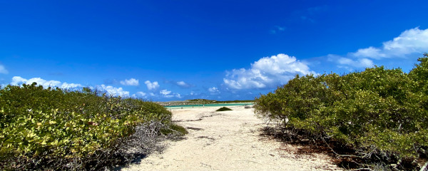 scrub island deadman bay entrance