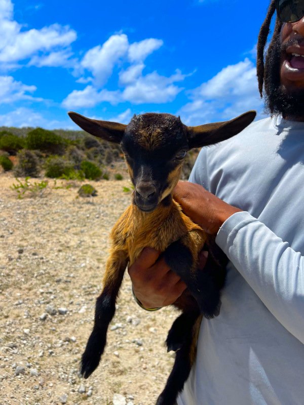 first mate dean with Goat.