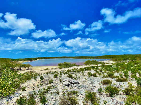 scrub island pond