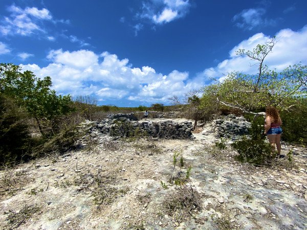 scrub watering hole