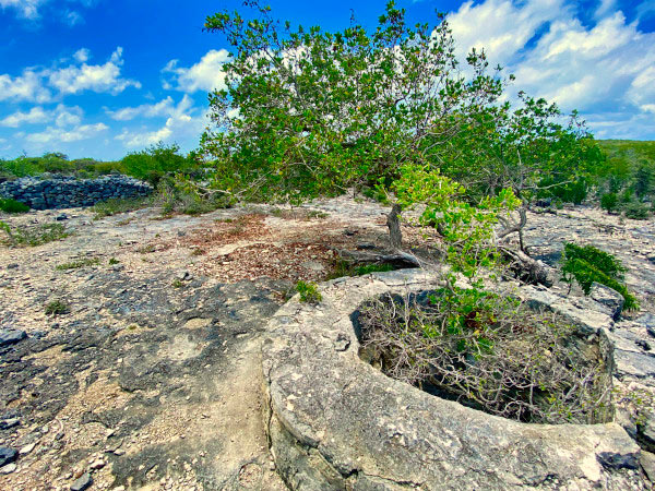 scrub island watering hole