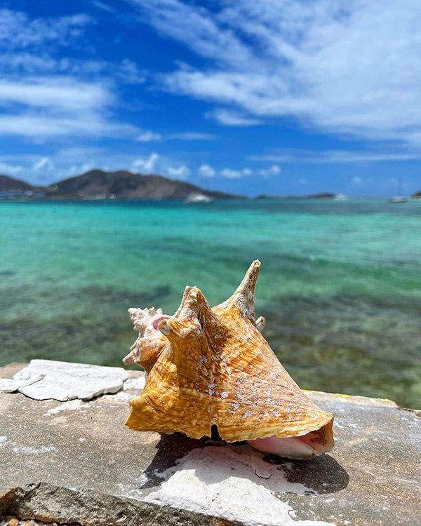 Orient Bay Beach St Martin