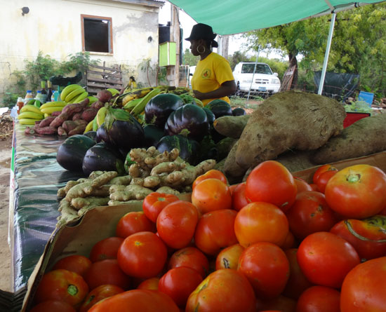 Anguilla, Sensational Flavours 