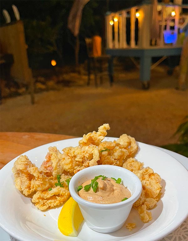 sharkys calamari