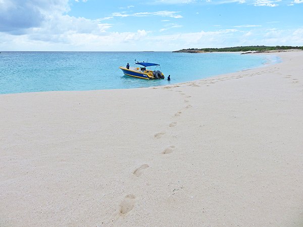 beautiful dog island anguilla