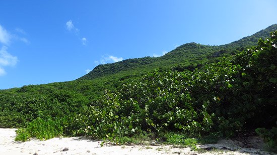 the mountains surrounding the new st. martin spot
