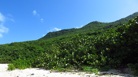 the mountains surrounding the new st. martin spot