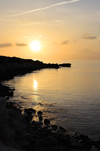 magical mornings at champange shores