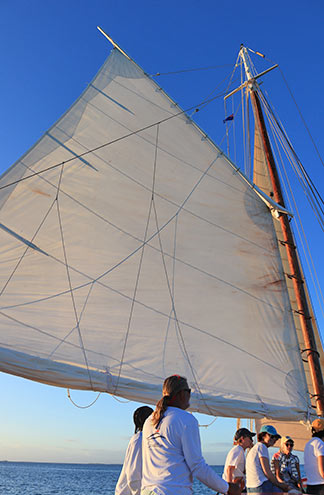 sails up on tradition sailing charter