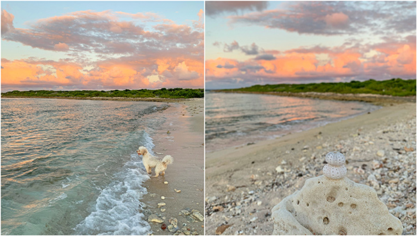 Savannah Bay on Anguilla