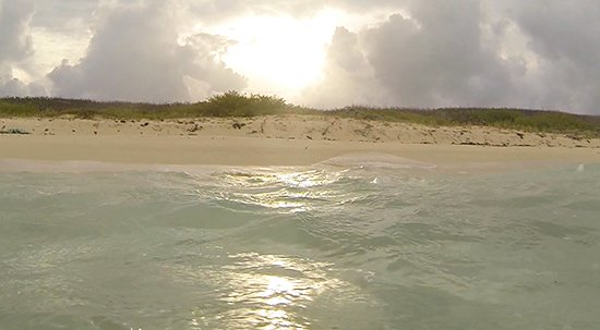 surfing sunset anguilla