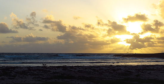 long pond bay at sunrise with nature explorers anguilla