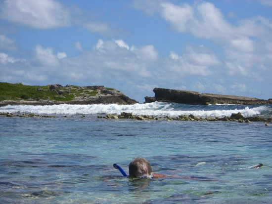 snorkeling at dropsey bay anguilla