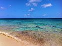 Anguilla: Where the Heart Grows Fonder -Emily Crowe