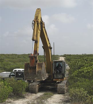 Anguilla excavator