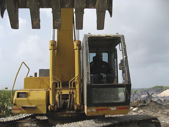 Anguilla excavator