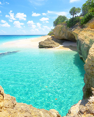 photo of anguilla turtles cove