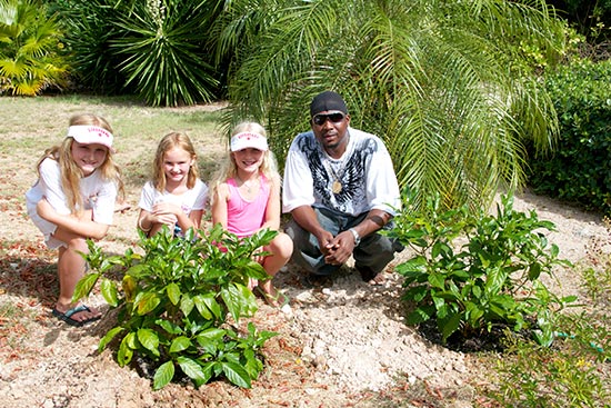 twin palms anguilla villa