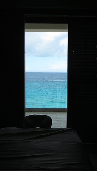 the view from the spa room