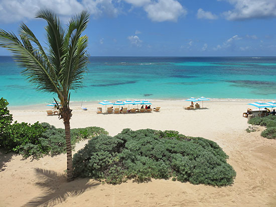 the beach at zemi beach houses beachfront suites