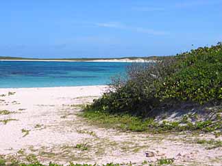 Anguilla restaurants view from Nats