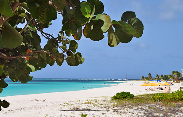 shoal bay beach anguilla