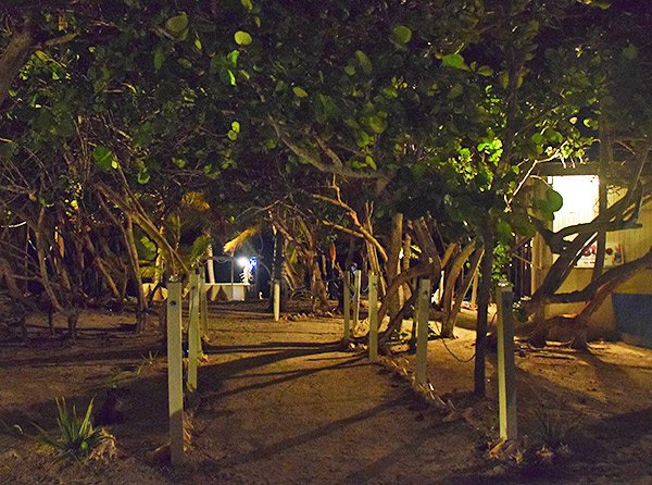 pathway to elite restaurant anguilla