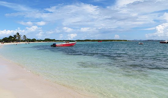 the beach at tropical wave