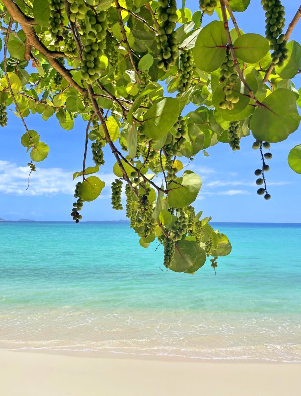 anguilla weather in october