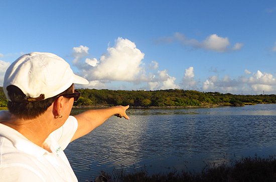 jackie cestero pointing out the sites on a nature tour in anguilla