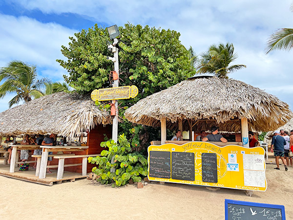 Welcome to Yellow Beach 