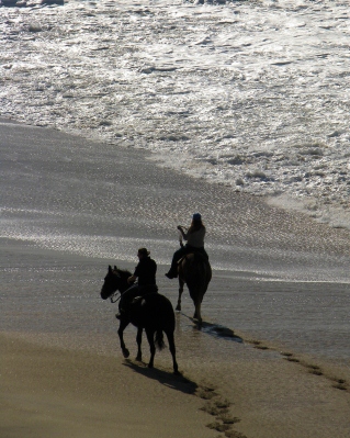 Oh to ride horseback down the beach with the one you love!