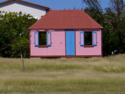 Pink House