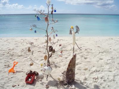 Another Special Anguilla Christmas Tree!