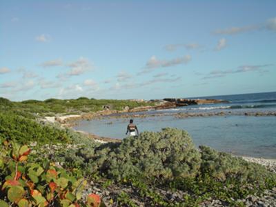 Hiking along the beach