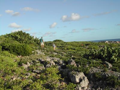 Hiking the long way back