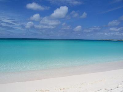 Amazing Rendezvous Bay