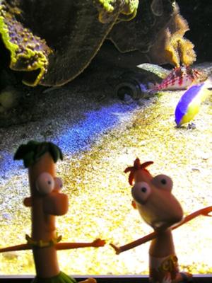 Posing action figures at the aquarium
